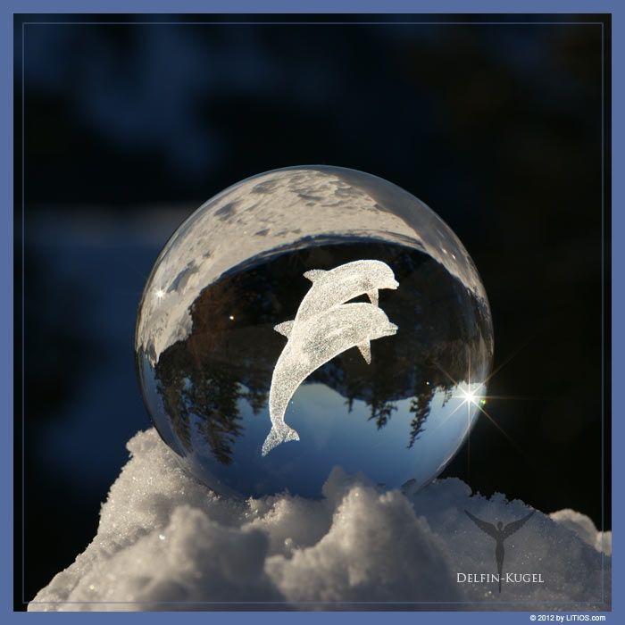 Delfin-Kugel 3 Delfin-Kugel – Bild 3