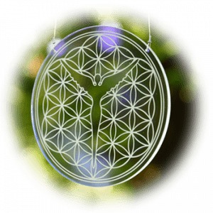 Hausharmonisierung Erdheilung Litios Lichtkristalle