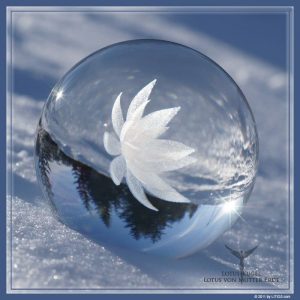 Lotus-Kugel - Litios-Lichtkristalle